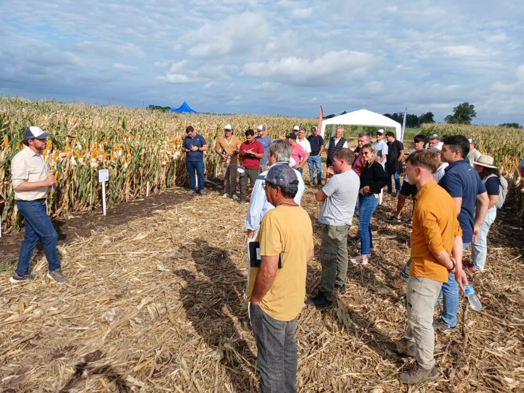 WhatsApp Image 2025-10-03 at 2.33.48 PM (3)