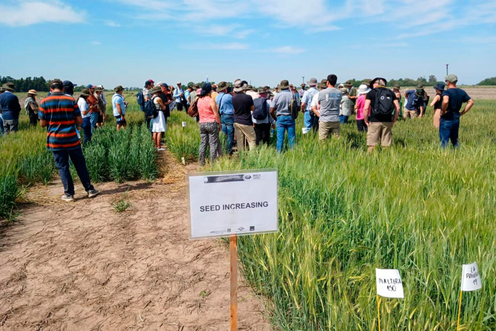 WhatsApp-Image-2025-10-03-at-2.33.48-PM-6